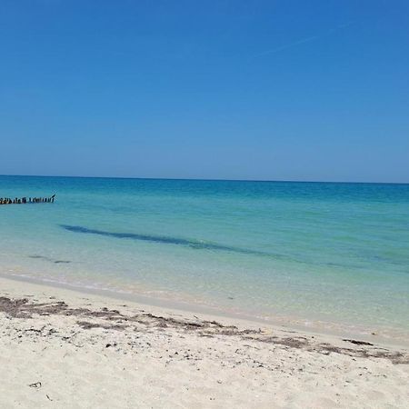 The Suite. Few Steps & Beach! تشيليم المظهر الخارجي الصورة